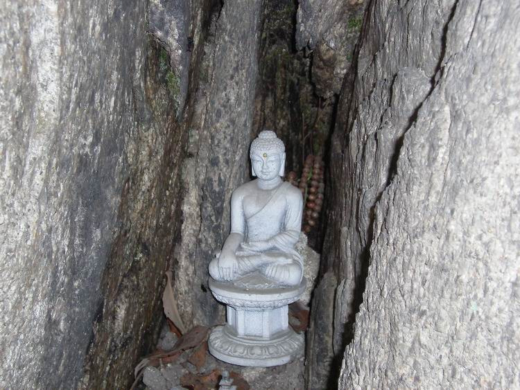 �̹����� Ŭ���ϸ� ������ ���� �� �ֽ��ϴ�.