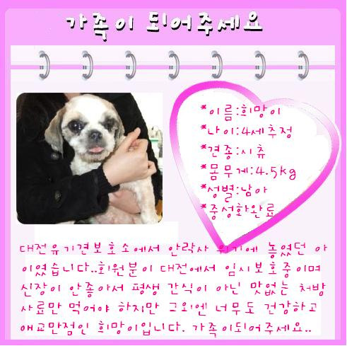 희망토토 이미지
