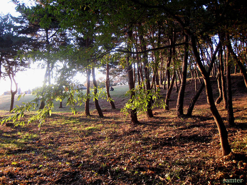 �̹����� Ŭ���ϸ� ������ ���� �� �ֽ��ϴ�.