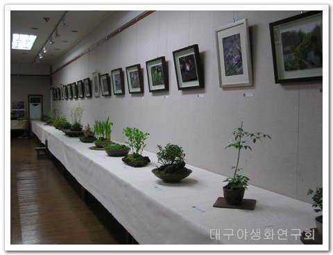 영남칼라현상소 이미지