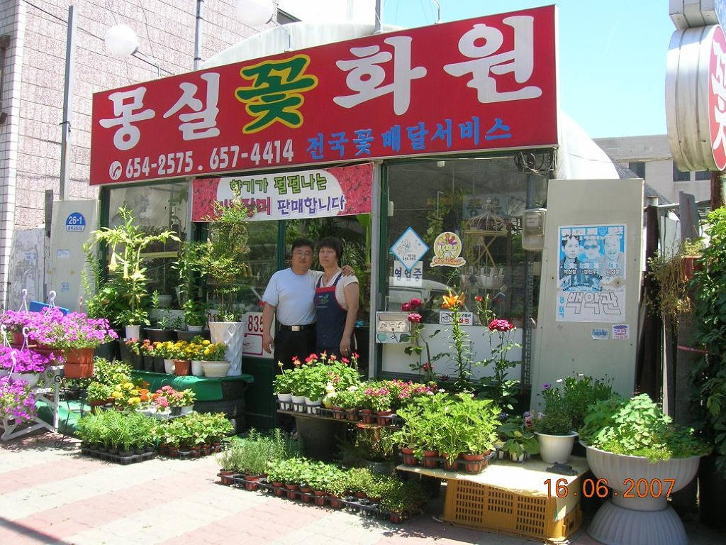 몽실화원 이미지
