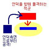 이미지를 클릭하면 원본을 보실 수 있습니다.