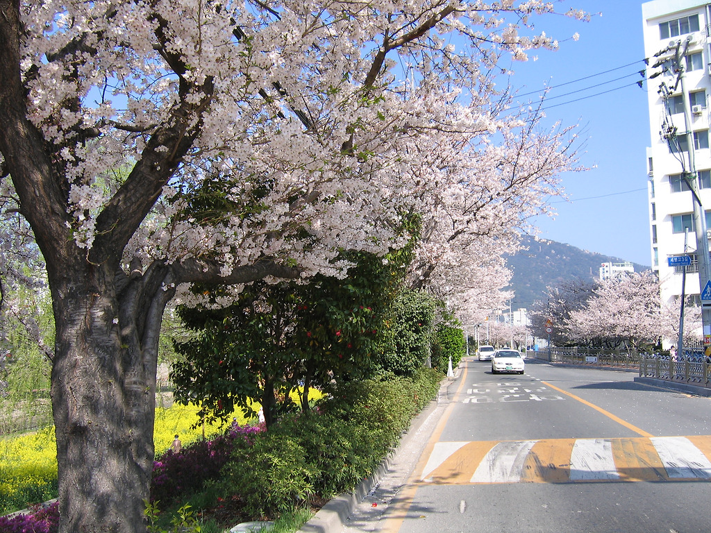수안초등학교 이미지
