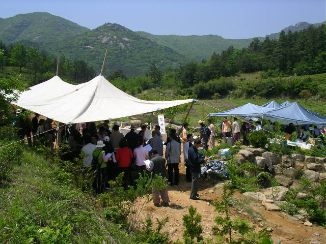 반야다원 이미지
