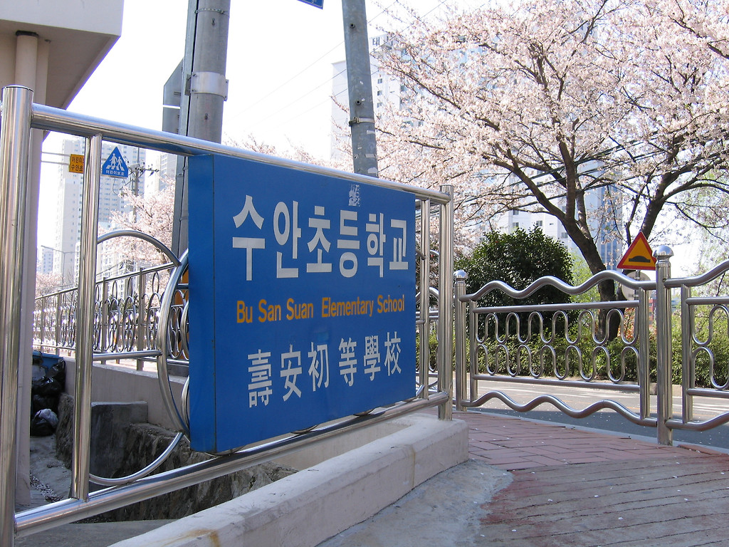 수안초등학교 이미지
