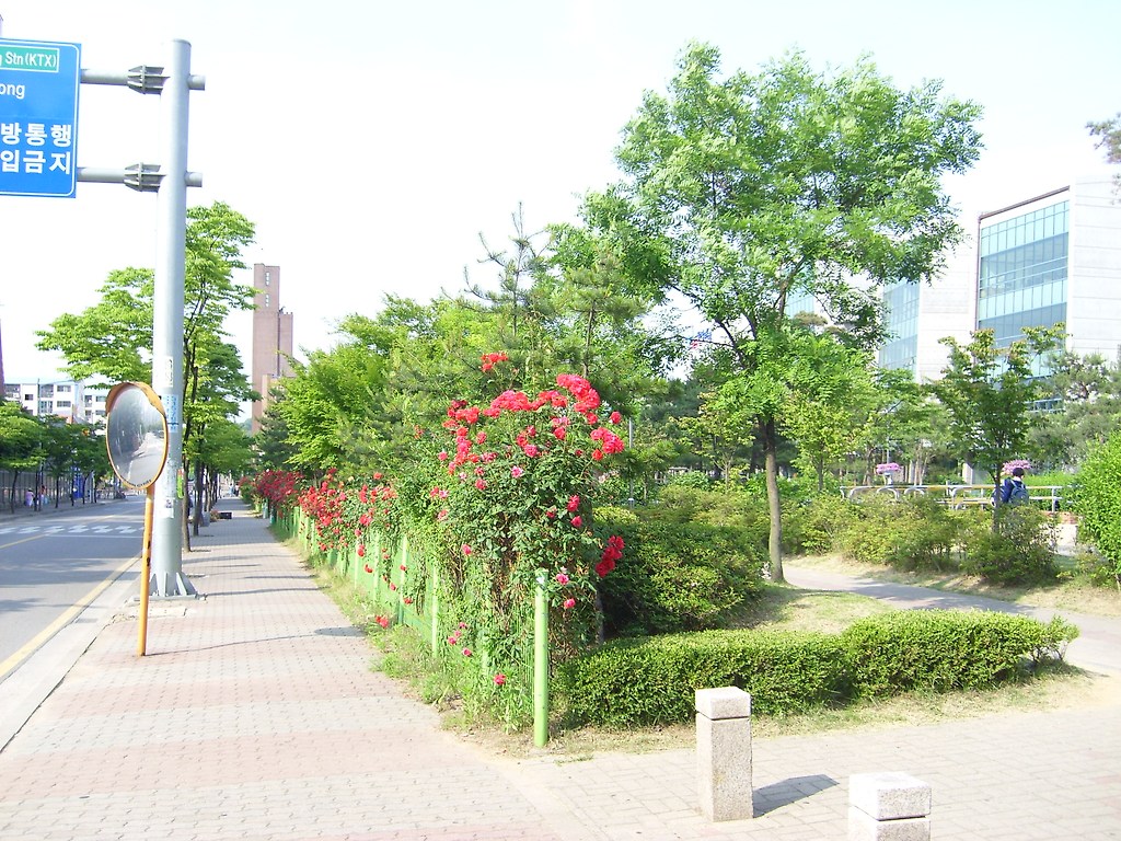 늘푸른조경 이미지