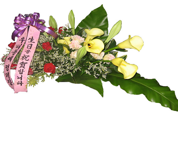 투모아 이미지