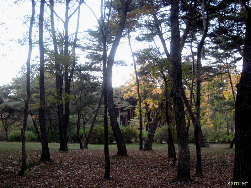 �̹����� Ŭ���ϸ� ������ ���� �� �ֽ��ϴ�.