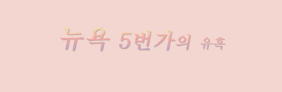 5번가 이미지