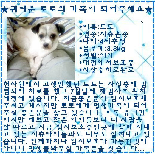 희망토토 이미지
