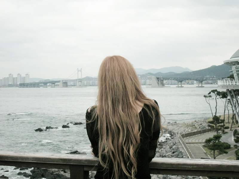 쏘피아 이미지