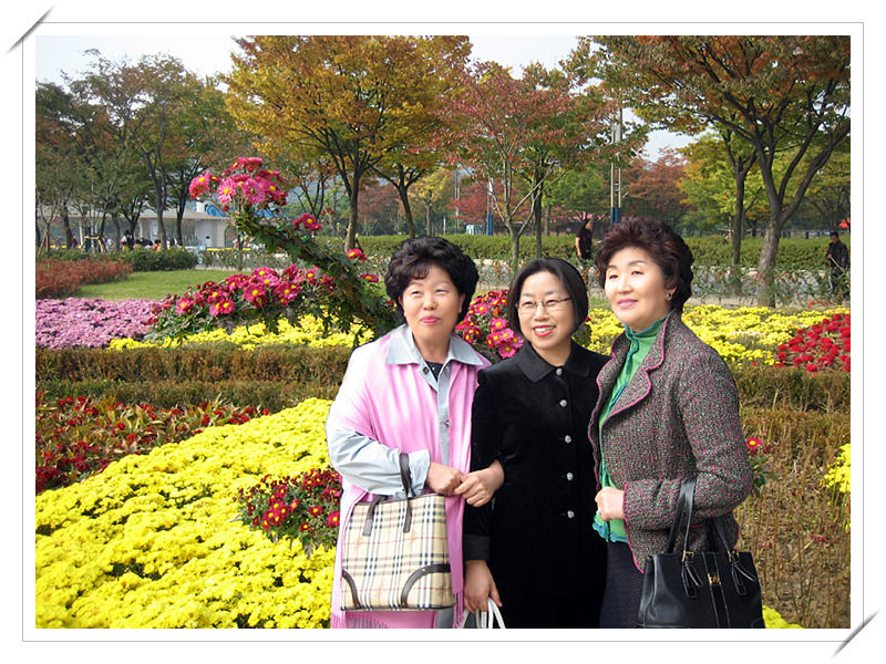 송해초등학교 이미지