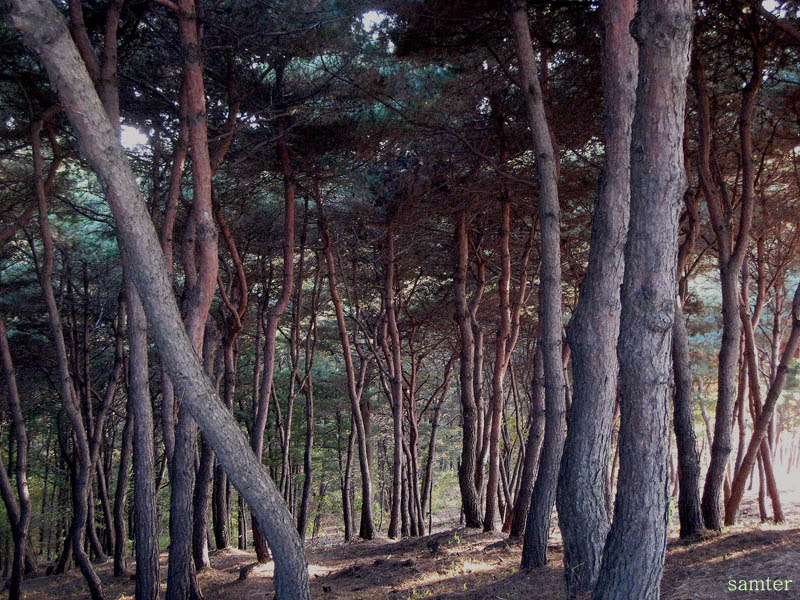 �̹����� Ŭ���ϸ� ������ ���� �� �ֽ��ϴ�.