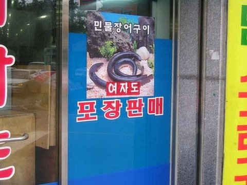 여자도민물장어 이미지