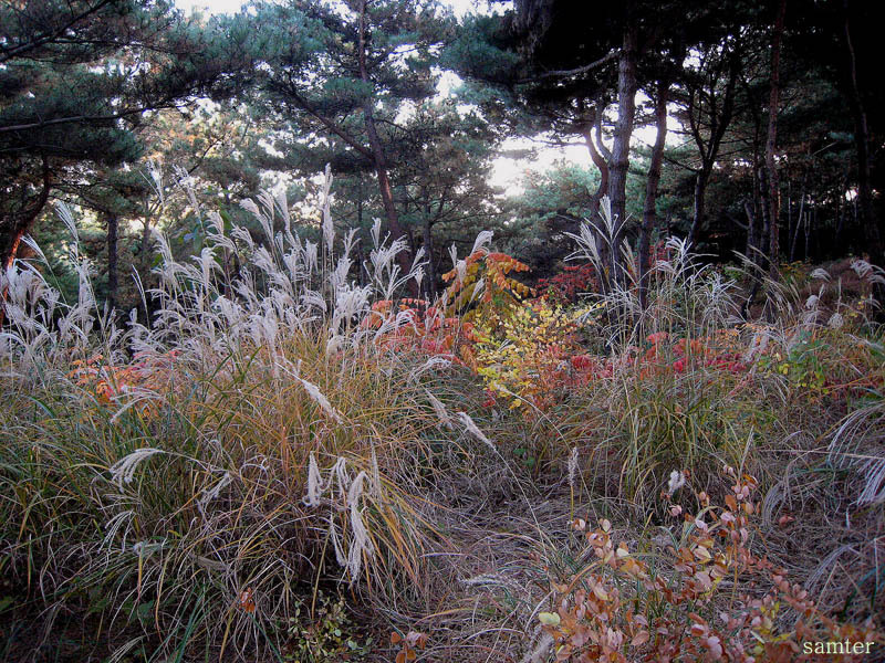 �̹����� Ŭ���ϸ� ������ ���� �� �ֽ��ϴ�.