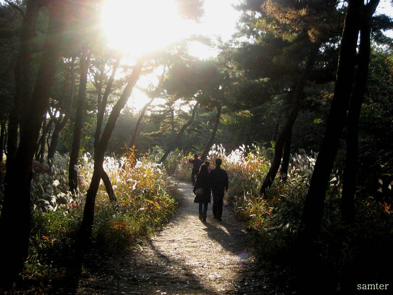 �̹����� Ŭ���ϸ� ������ ���� �� �ֽ��ϴ�.