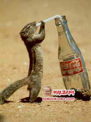 이미지를